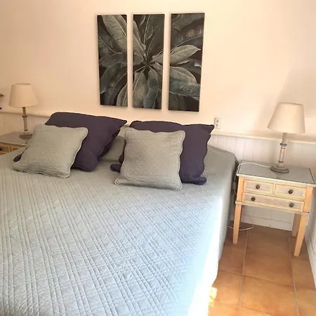 Avec Piscine, Grandes Terrasses Et Jardin A Supprimer *
