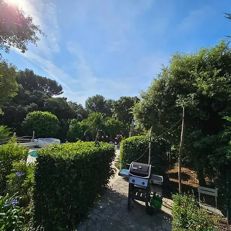 Avec Piscine, Grandes Terrasses Et Jardin A Supprimer Villa La Croix-Valmer